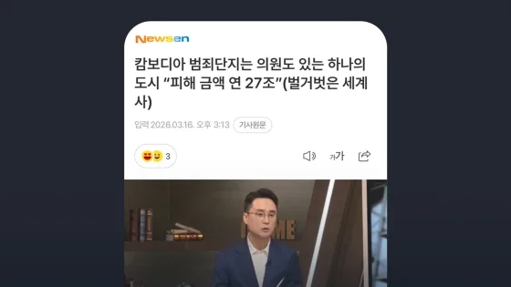 뉴스엔 캄보디아 범죄단지는 의원도 있는 하나의 도시 “피해 금액 연 27조”(벌거벗은 세계사)