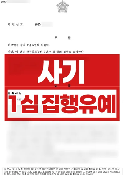 구속된 채 재판받은 다수 피해자 사기 | 사기 1심 집행유예