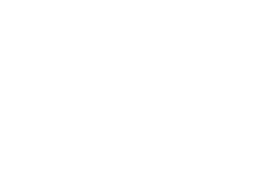 MEGA X